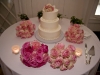 20090523_dtepper_jonnicole_004_reception_d700_3234